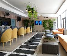 355 Restaurant and Lounge - 3